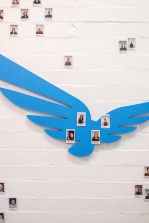 Blue Raven Solar Org Wall Blue Raven Solar Org Chart Wall