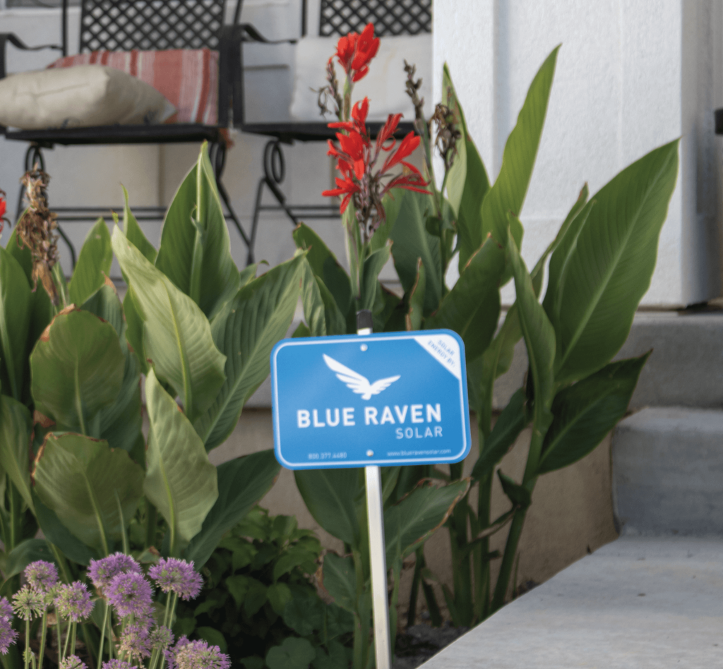 Option_15 Sq A Blue Raven Solar yard sign installed with vibrant flowers and foliage in the background