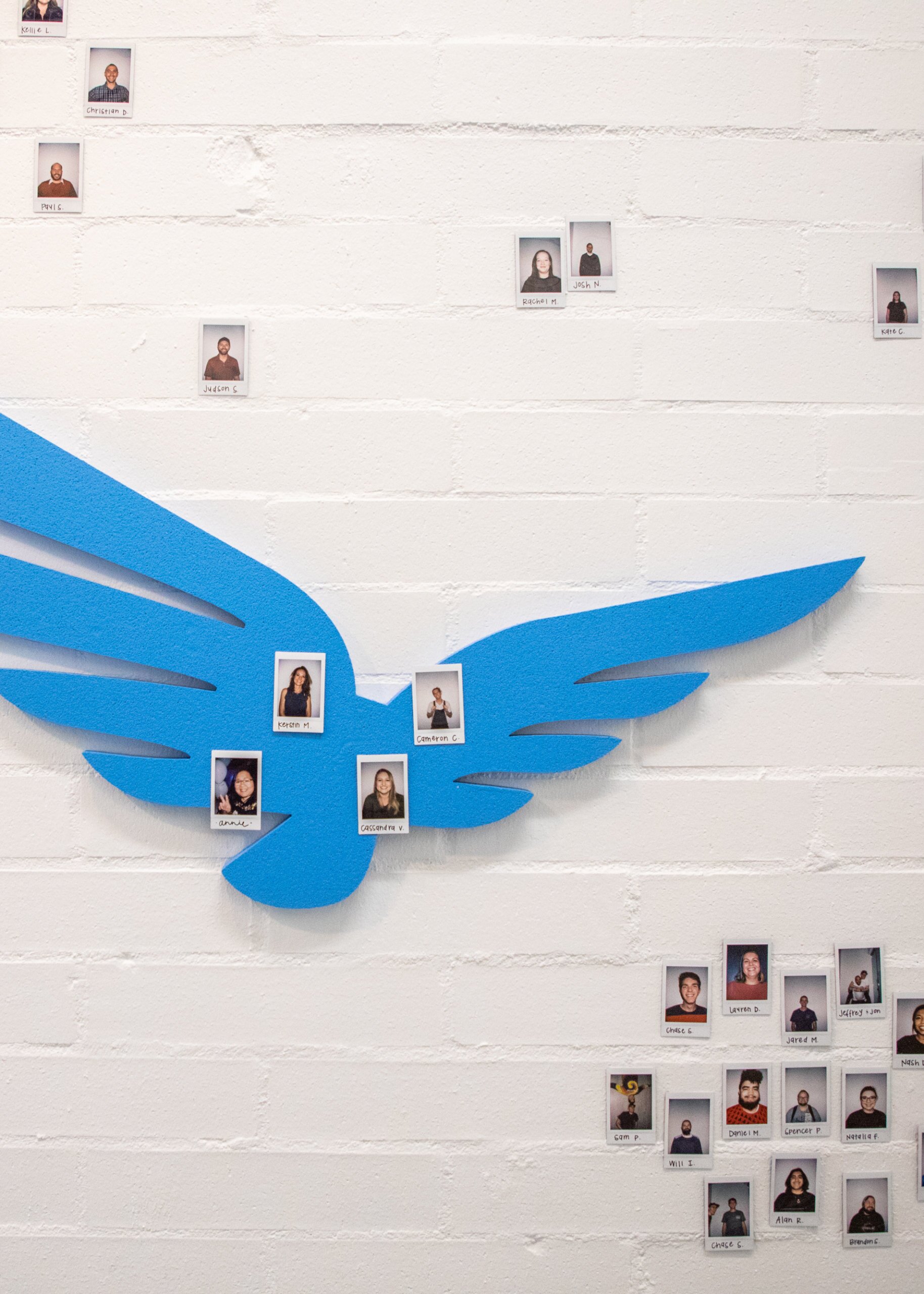 Blue Raven Team Pictures