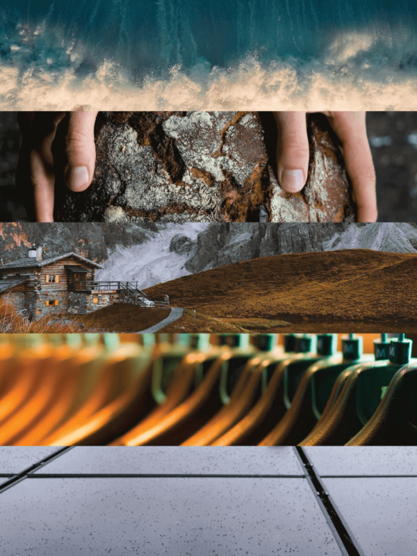 5 basic needs representing water, food, shelter, clothing, and energy