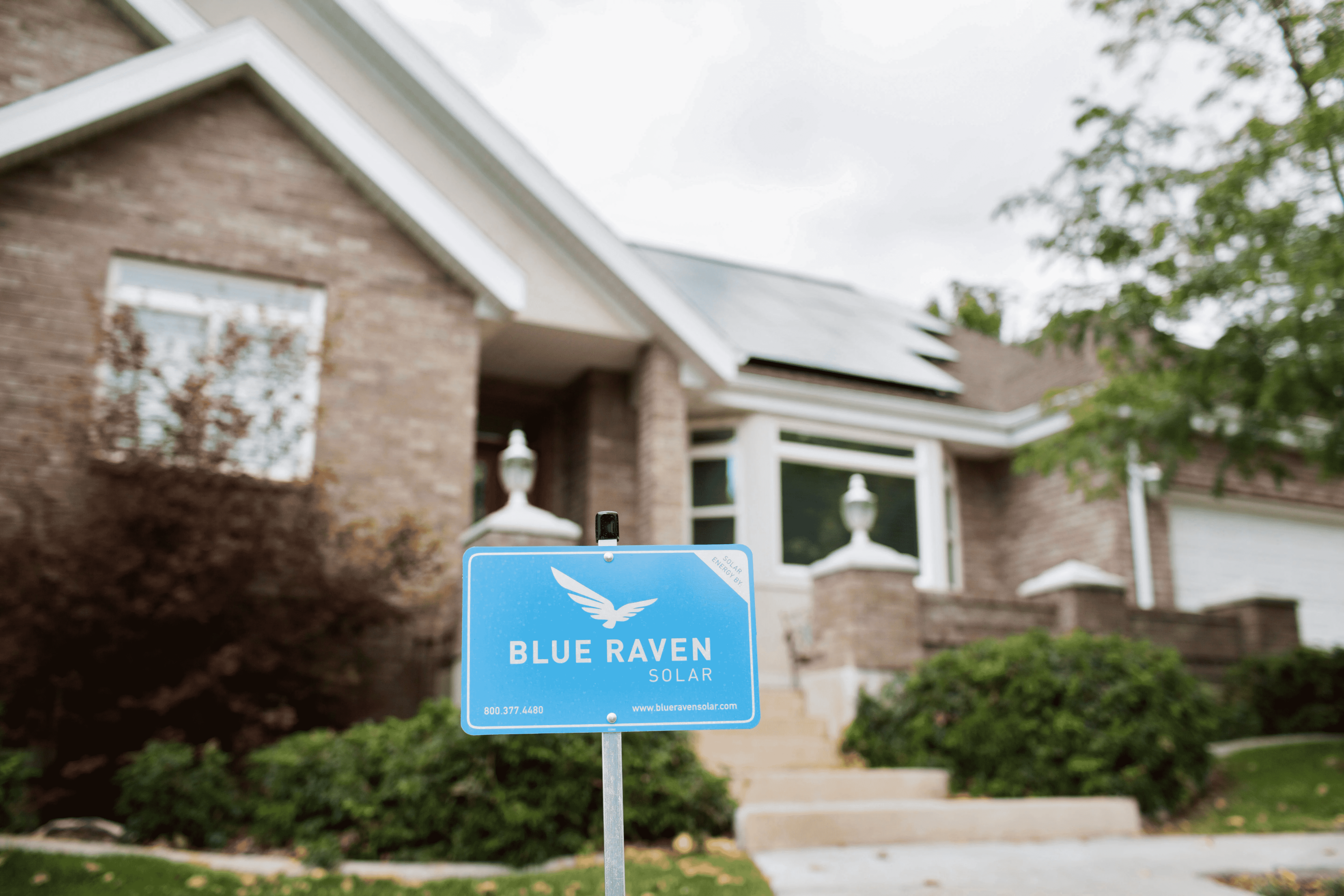 blue raven solar residential