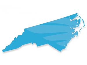 Blue Raven Solar Logo North Carolina Blue Raven Solar Logo North Carolina