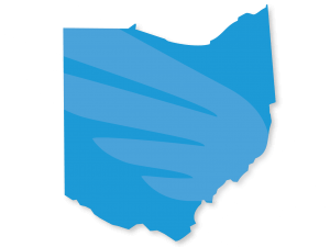 Blue Raven Solar Logo Ohio Ohio Blue Raven Solar