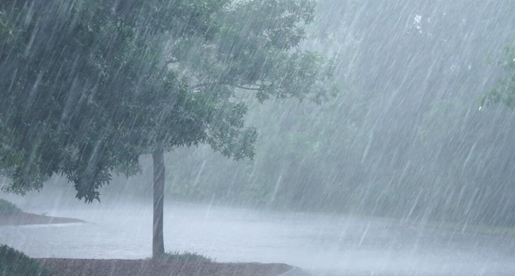 Hail_Rain Heavy rainfall on a city street, surrounded by large, green trees