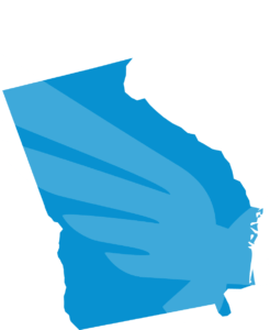 georgia Blue Raven Solar in Georgia