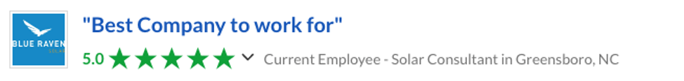 blue raven solar employee reviews