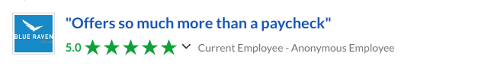 blue raven solar employee reviews