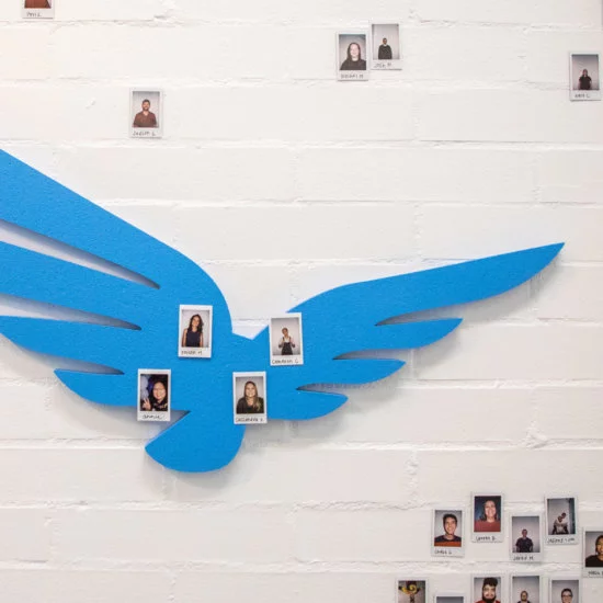 Blue Raven Team Pictures