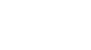 Blue Raven Solar Logo