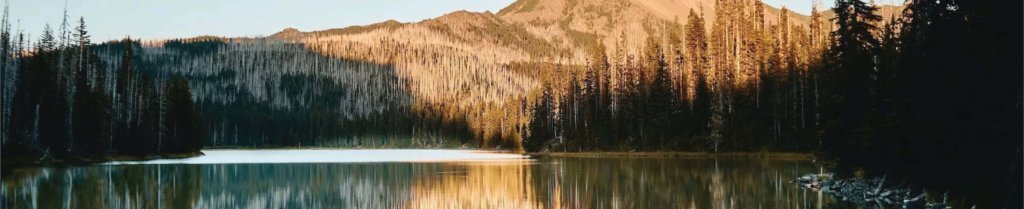 Oregon state location page banner preview