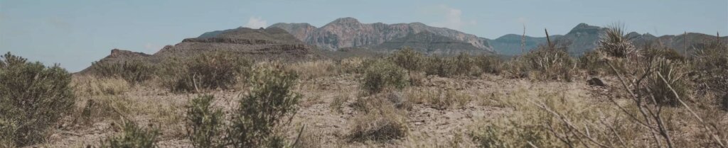 Texas state location page banner preview