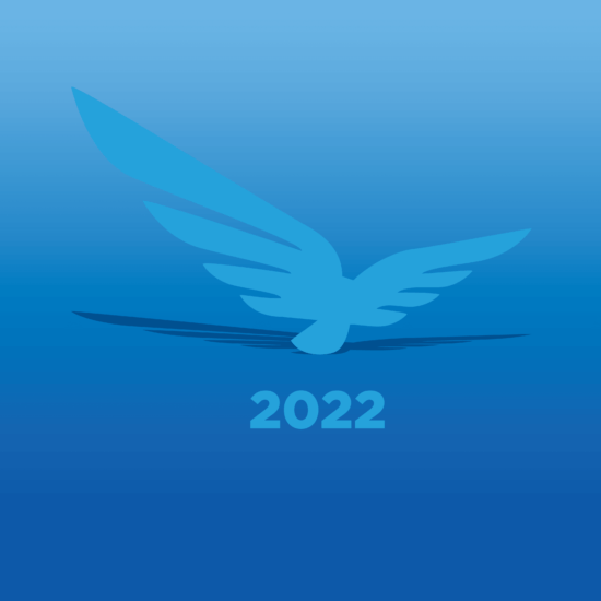 Blue Raven Solar icon with "2022" below in shades of blue