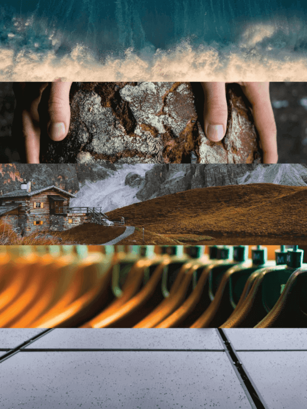 5 basic needs representing water, food, shelter, clothing, and energy