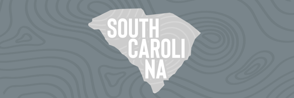 Silhouette of South Carolina state in various shades of grey