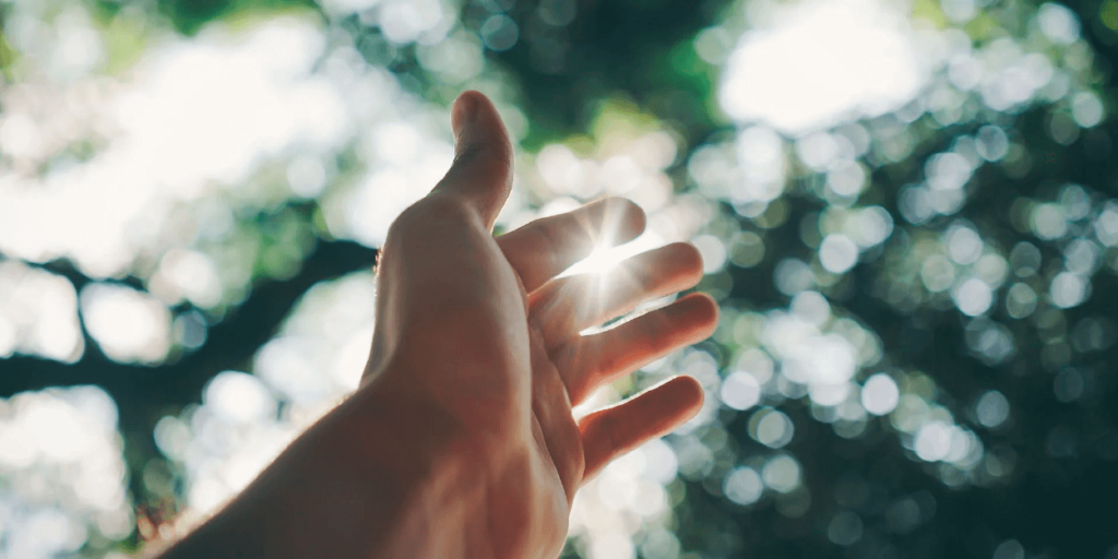Is Sunlight Renewable or Nonrenewable-02 A hand outreached towards the sky, with sunlight beaming through tree leaves between two of the fingers
