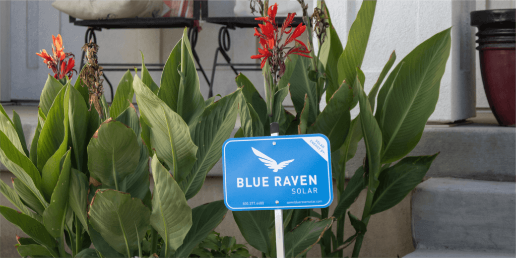6 Reasons to Choose Blue Raven Solar-06 Blue Raven Solar yard sign with lush green plants and bright orange-red flowers in the background