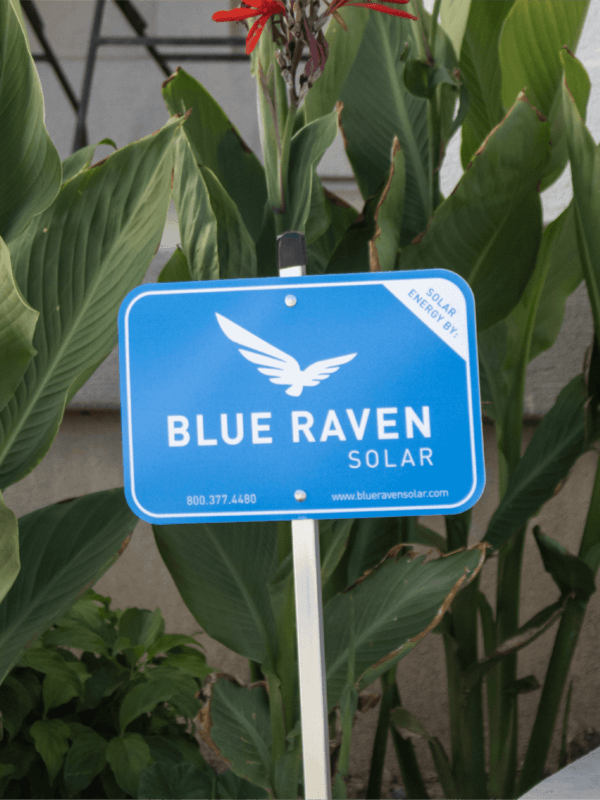 Blue Raven Solar yard sign with lush green plants in the background