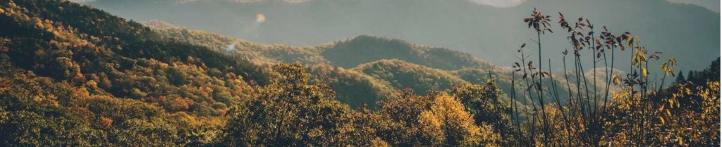 North Carolina state location page banner preview